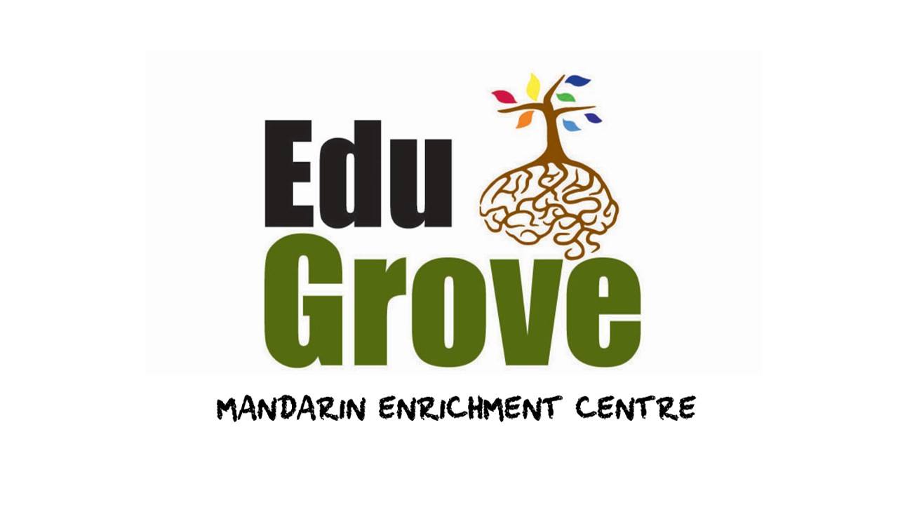 EduGrove Mandarin Enrichment Centre Pte Ltd
